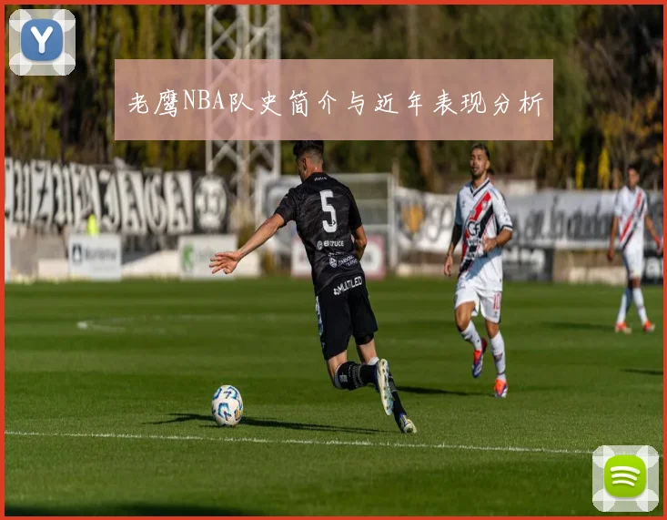老鹰NBA队史简介与近年表现分析