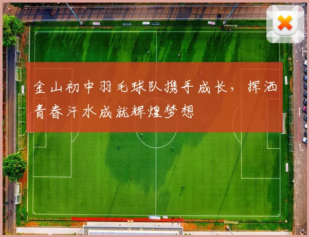 金山初中羽毛球队携手成长，挥洒青春汗水成就辉煌梦想